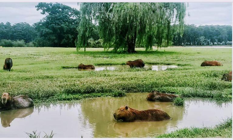 康科迪亚Monoambiente Blanca公寓 外观 照片
